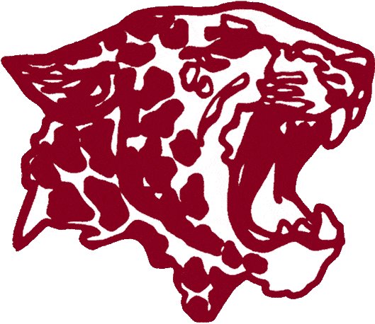 Lafayette Leopards 1986-1999 Primary Logo t shirts iron on transfers